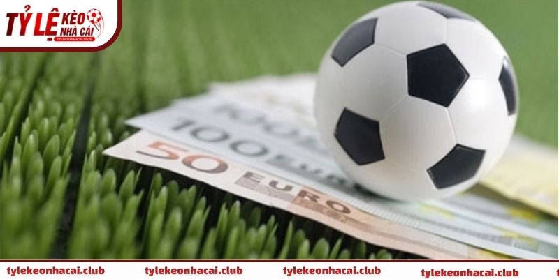 Lưu ý quan trọng áp dụng cách cá cược bóng đá luôn thắng