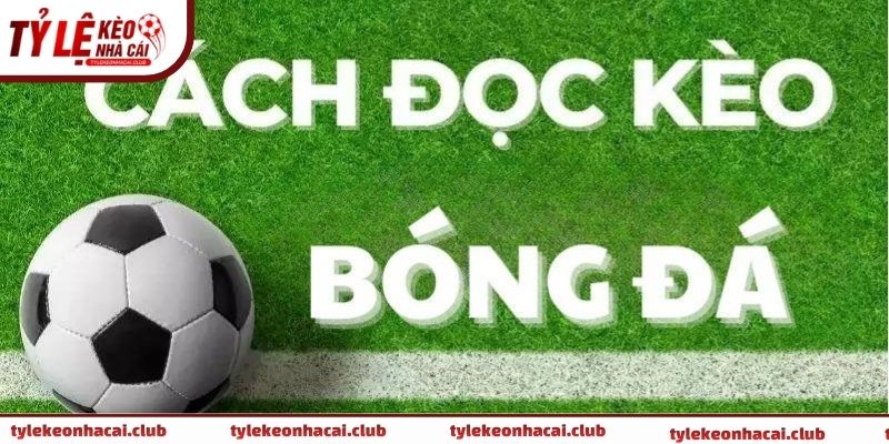 Bảng tỷ lệ kèo nhà cái minh họa cách đọc kèo bóng đá