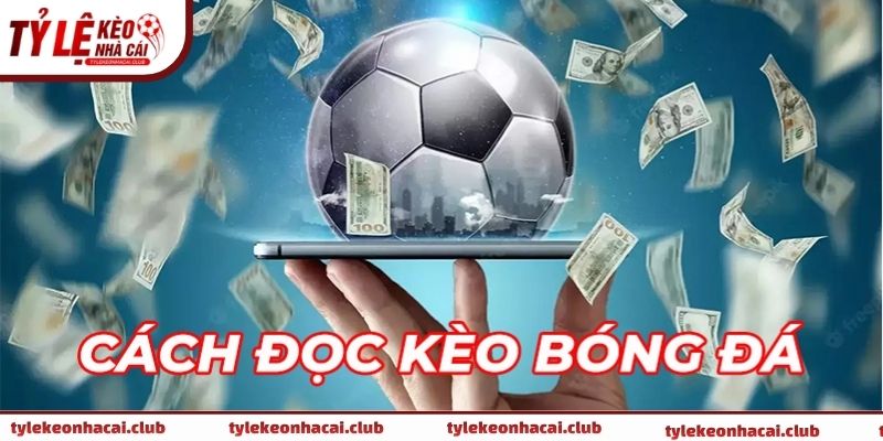 Hướng dẫn đọc kèo bóng đá trên bảng tỷ lệ kèo nhà cái