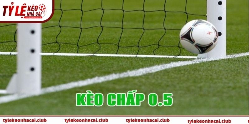 Những lưu ý quan trọng khi đặt kèo 0.5 là gì 