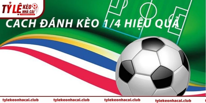 Những lưu ý quan trọng khi đặt kèo 1/4 trên bảng tỷ lệ 