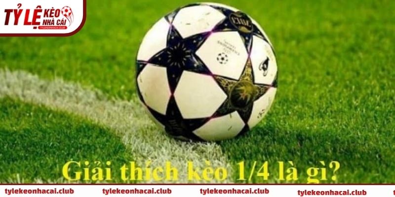 Hiển thị kèo 1/4 trên bảng tỷ lệ kèo nhà cái