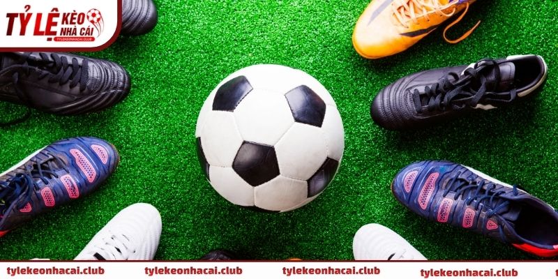 tài xỉu 1 2 là sao