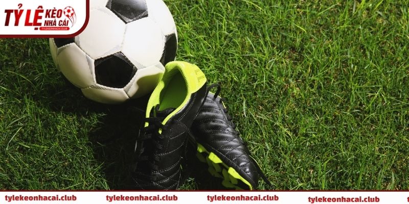 Tài xỉu 1 2 là sao và yếu tố ảnh hưởng lớn đến việc dự đoán kết quả